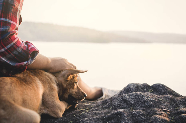 Расслабляющий момент азиатский мальчик и собака в природе, наслаждаясь временем на праздник концепции, цвет винтажный тон избирательный и мягкий фокус
 - Фото, изображение