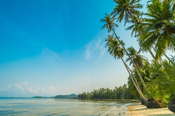 Beautiful paradise island with beach and sea - Фото, изображение