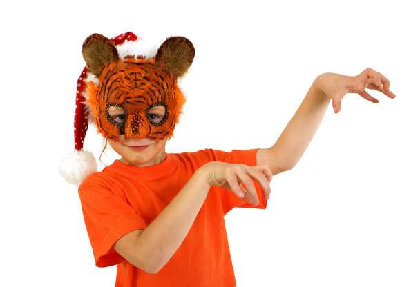 Cute funny tiger - Foto, Imagem