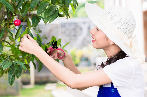 剪定の若いアジア女性の側のビュー肖像画夏で果樹を栽培 - 写真・画像