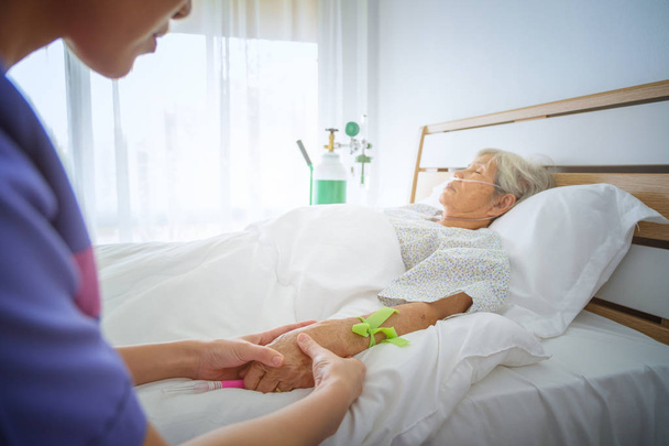 L'infirmière vérifie le pouls de la main des patients sur le lit de l'hospice
 - Photo, image