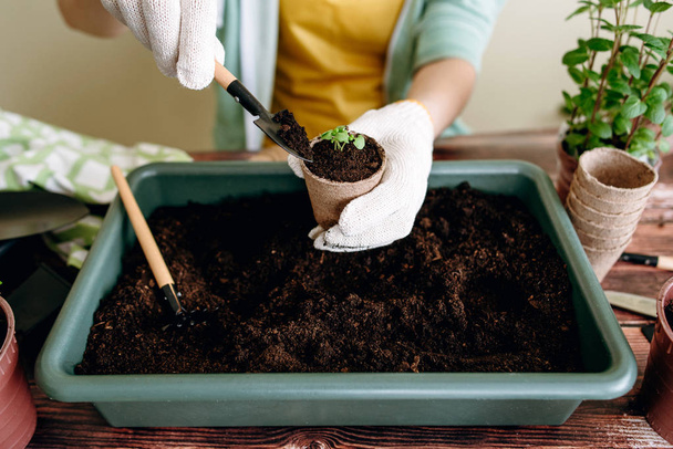 Cropped view of female hands in white gloves transplanting sprout in pot  with shovel on background with gardening tools - Photo, Image