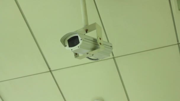 Telecamera Internet CCTV
 - Filmati, video