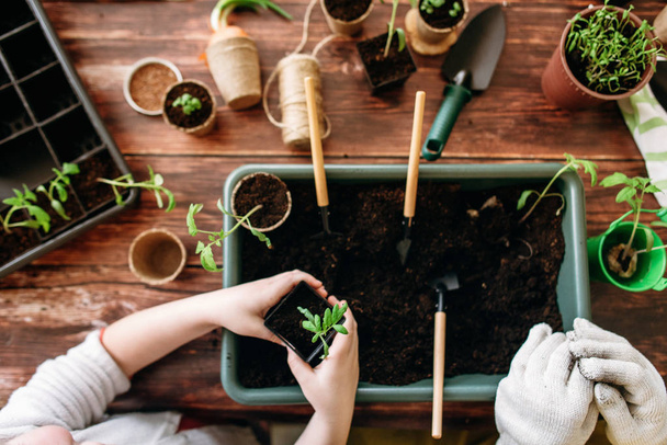Cropped view of mother with little daughter transplanting sprout in vase on wooden background with gardening tools - Photo, Image