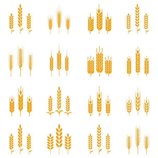 ロゴデザインの小麦の耳シンボル. - ベクター画像