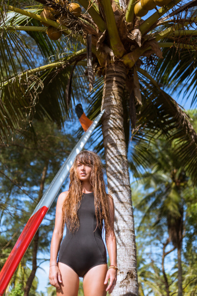 attractive young woman with long hair posing near palm tree with surfboard   - Valokuva, kuva