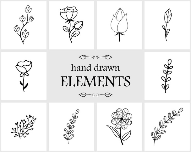Hand getrokken floral logo elementen en pictogrammen - Vector, afbeelding