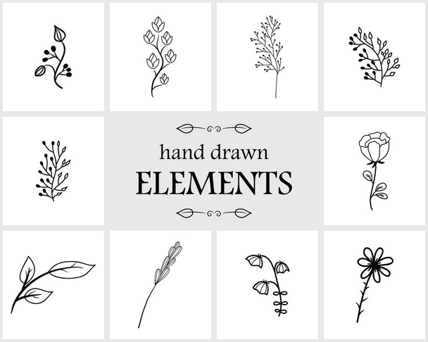 Hand drawn floral logo elements and icons - Vektori, kuva