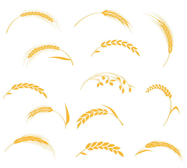 Ears of wheat bread symbols. - Vector, Image