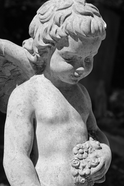 Anioł z kwiatów w ręku - Zdjęcie, obraz