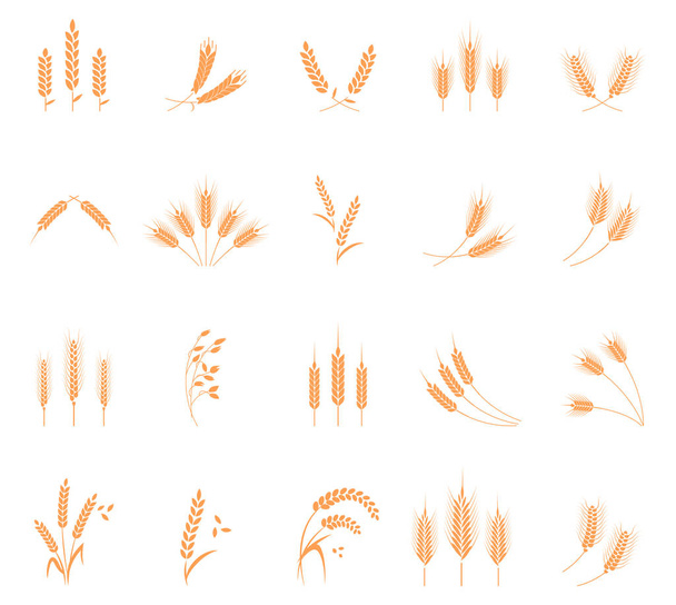 Conjunto de ícones de trigo
. - Vetor, Imagem
