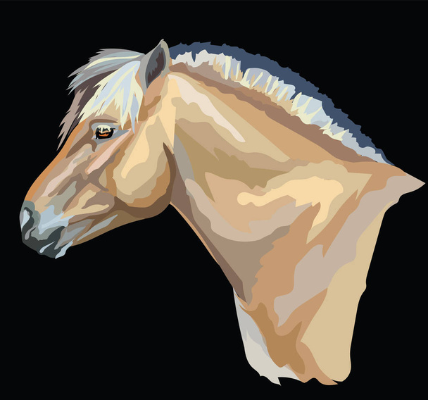 Colored Norwegian fjord pony - Vector, Image