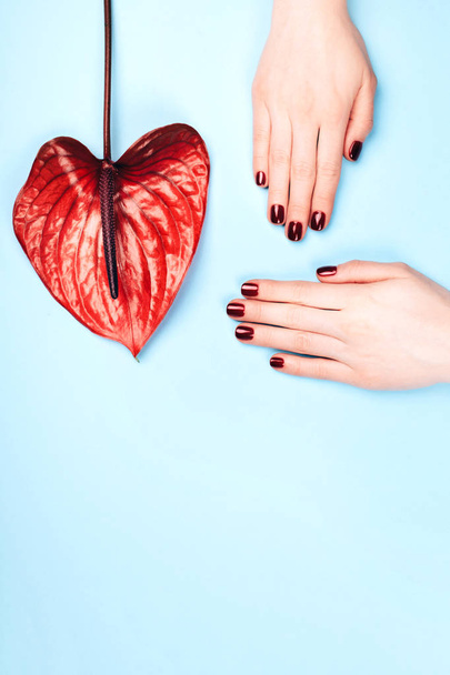 Red manicure and flower. - 写真・画像