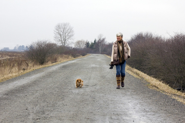 Walking the dog - Photo, Image