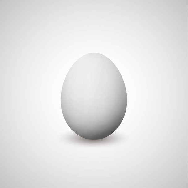 Vector realistic egg. Isolated - Vector, Image