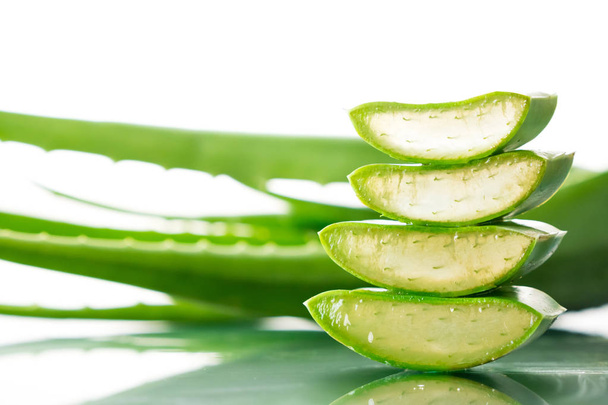 Aloe vera plant on white background. Aloe vera is used in traditional medicine as a skin treatment. - Foto, imagen