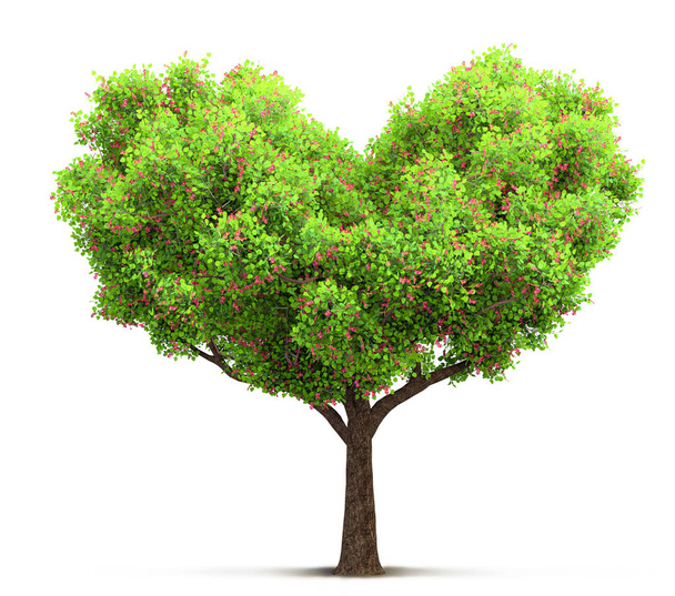 blossom tree in heart shape 3D illustration - Φωτογραφία, εικόνα