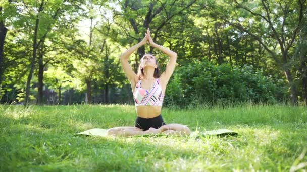 Струнка дівчина робить йогу в полі на заході сонця. Здоров'я на відкритому повітрі. Широкий постріл
 - Кадри, відео