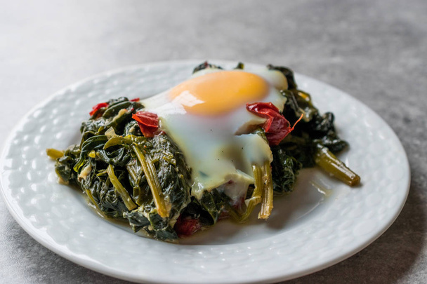 Turkish Food Spinach with Egg - Foto, afbeelding