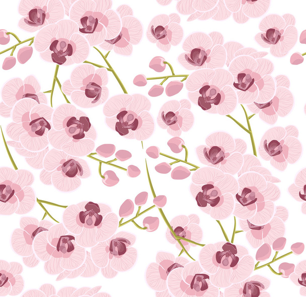 візерунок барвистих квітів орхідей Векторні ілюстрації. Стокові векторні зображення красивих рожевих квітів орхідей. яскравий фон
. - Вектор, зображення
