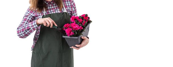 mujer jardinero profesional o florista en delantal sosteniendo flores en una olla y herramientas de jardinería aisladas sobre fondo blanco. Copiar espacio
 - Foto, imagen