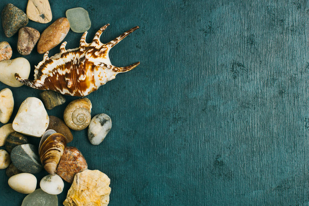 Shells and stones against a dark background with a free place. - Foto, Imagem