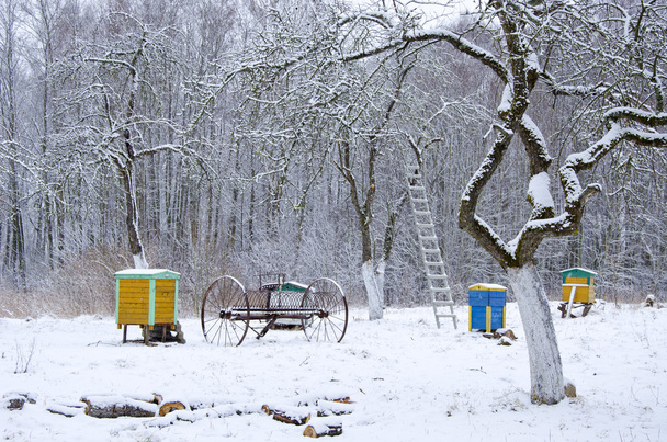 Winterzeit im alten Bauerngarten - Foto, Bild