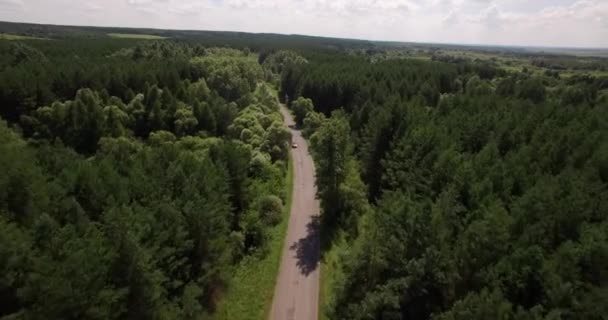 Beautiful forest and small road aerial view - 映像、動画