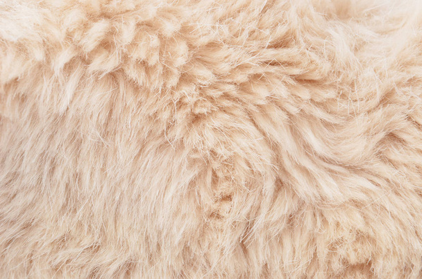 Textured synthetical fur background - Photo, Image