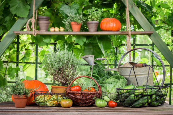 Summer harvest with various of vegetables in the garden - Foto, afbeelding