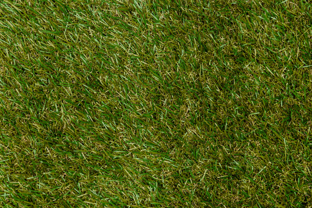 top view of green grass, earth day concept - Foto, Bild