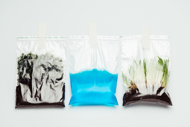 Plastiktüten mit Erde, Wasser und Sämlingen hängen isoliert auf weißem, erdtäglichem Konzept - Foto, Bild