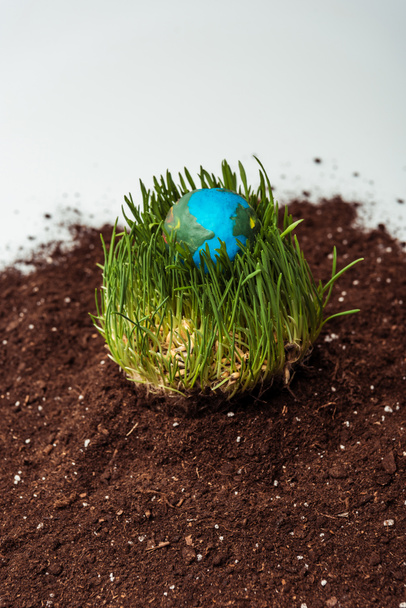seedling with earth model on soil isolated on white, earth day concept - Valokuva, kuva