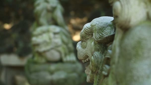 Statue guardian angel at Shinagawa shrine in Tokyo  / Its a traditional location in Tokyo. camera : Canon EOS 7D - 映像、動画