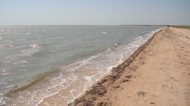 Αμμώδης ακτή σε μια ηλιόλουστη μέρα με τα κύματα - Πλάνα, βίντεο