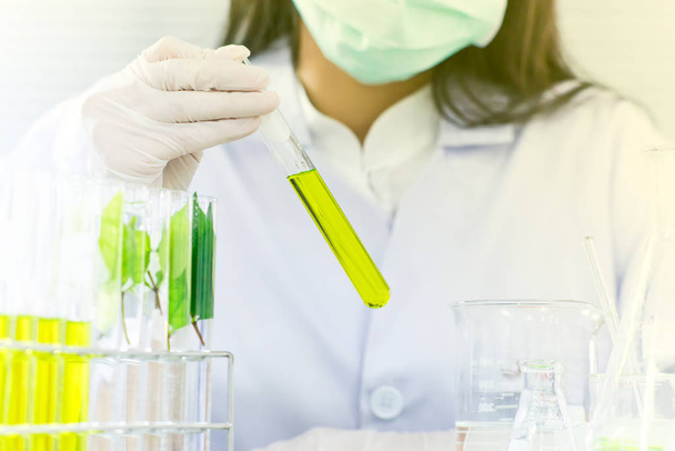 zöld növényi gyógyszer kutatás felfedezés vakcina-tudomány Lab - Fotó, kép