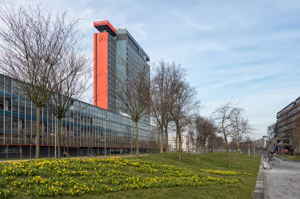 Campus Technical University Delft with buildings and field of narcissus - 写真・画像