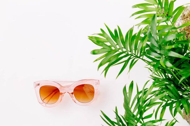 Tropical leaves with brown sunglasses isolated on white background - Foto, Bild