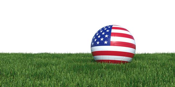 USA United States soccer ball lying in grass world cup 2018 - Fotoğraf, Görsel