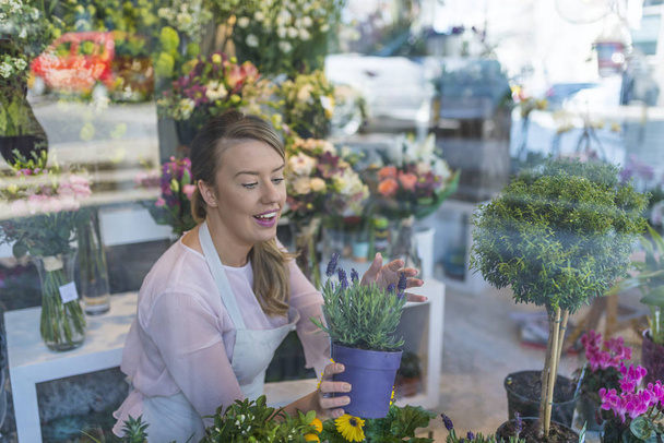 Closeup of young attractive woman working in flower shop. - Foto, afbeelding