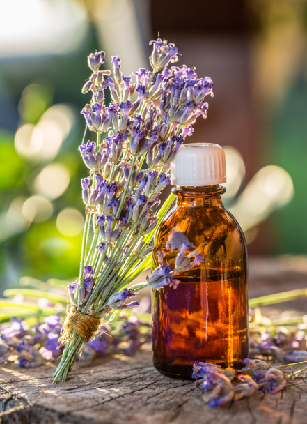 Bunch of lavandula or lavender flowers and oil bottle are on the - Photo, Image
