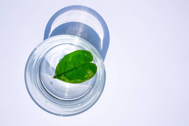 Hart bladvorm in glas water geïsoleerd op witte achtergrond - Foto, afbeelding