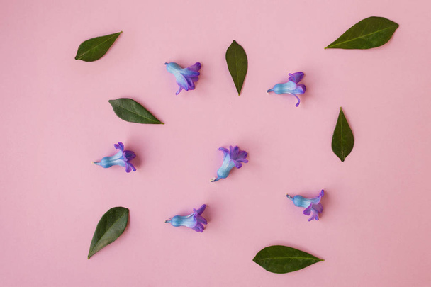 flowers on pink background, free space for your text - Foto, Imagen