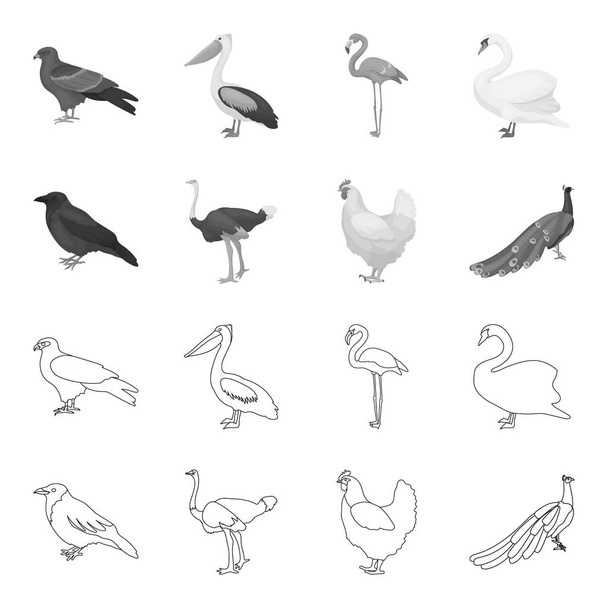 Crow, ostrich, chicken, peacock. Birds set collection icons in outline,monochrome style vector symbol stock illustration web. - Vector, Image