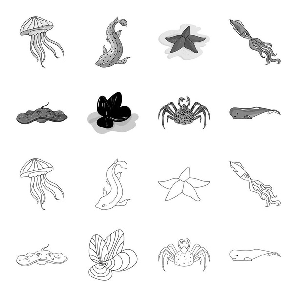 Electric ramp, mussels, crab, sperm whale.Sea animals set collection icons in outline,monochrome style vector symbol stock illustration web. - Διάνυσμα, εικόνα