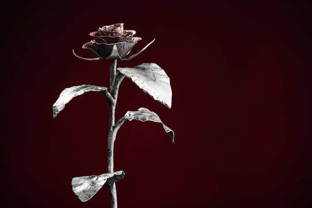 The rose in light on the dark-red background. - Valokuva, kuva