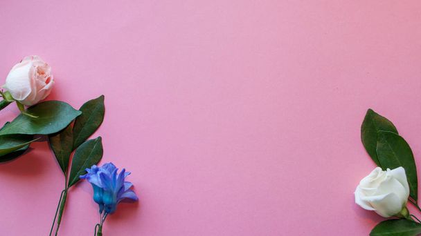 flores sobre fondo rosa, espacio libre para su texto
 - Foto, Imagen
