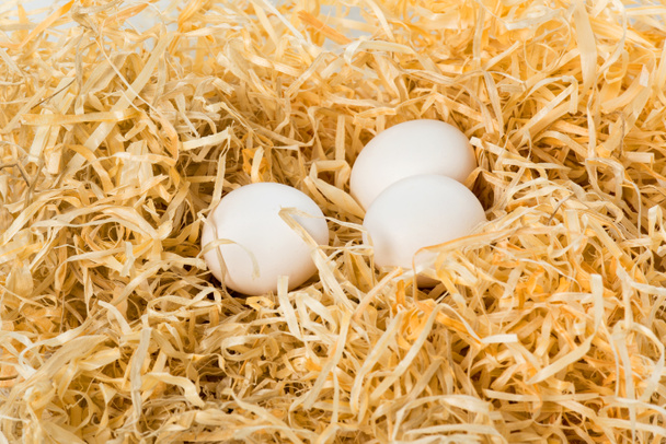 close-up view of group of raw white chicken eggs in nest  - 写真・画像