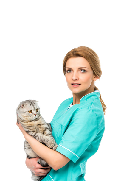 young veterinarian holding adorable scottish fold cat and looking at camera isolated on white - Photo, Image