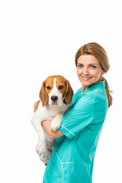 vista lateral de veterinario sonriente en uniforme sosteniendo lindo perro beagle aislado en blanco
 - Foto, Imagen